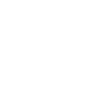 Program retricted icon