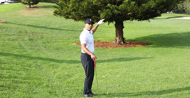 Golf hitting under trees